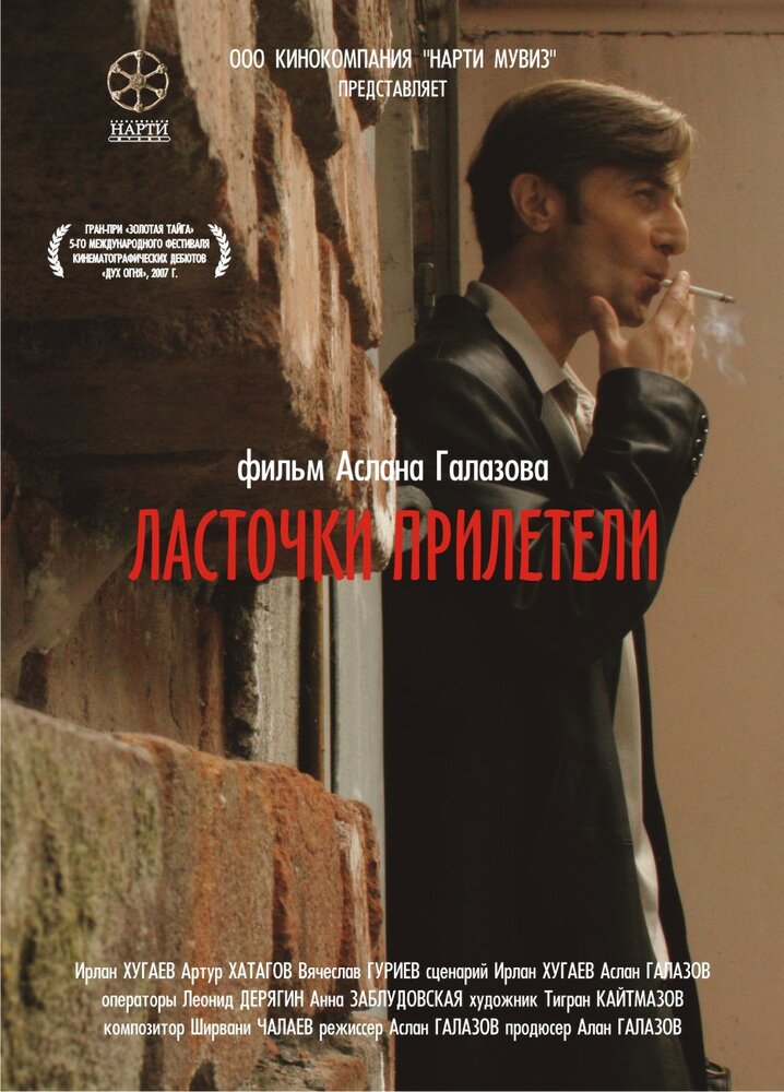 Ласточки прилетели (2006) постер